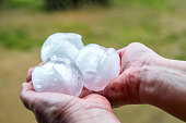 Unrecognizable women holding and showing group of very big ice hailstones in her hands in the end of winter season in march outdoor