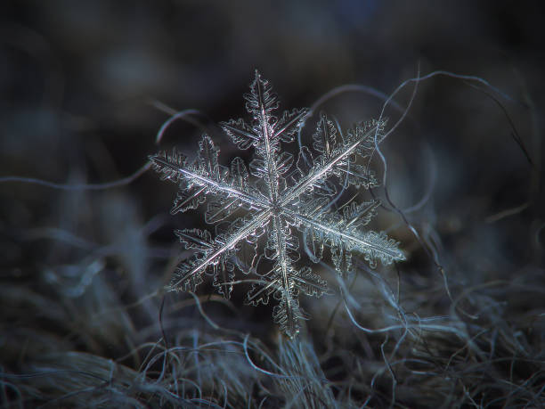 istock Snowflake glitters on dark gray textured background 649669300