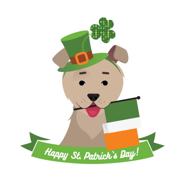 illustrations, cliparts, dessins animés et icônes de chien au chapeau vert, tenant un drapeau irlandais avec la bouche. - irish terrier terrier dog puppy