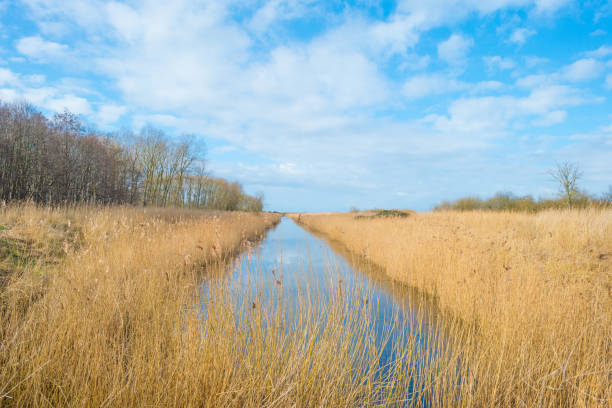istock Canal through a field in winter 649669884
