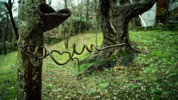 istock detail on the nature 649672130