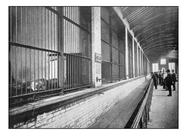 istock Antique London's photographs: Zoological Gardens 649672340