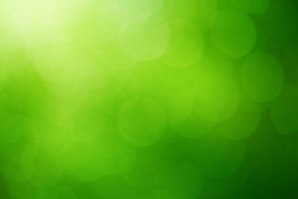 녹색 자연스럽다 백그라운드  - 녹색 배경 뉴스 사진 이미지
