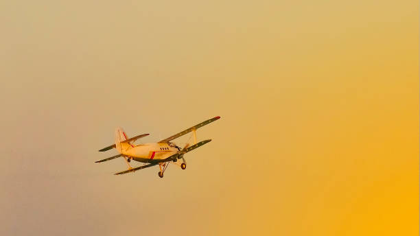 istock A white crop duster from below fly against the susnet 649676102