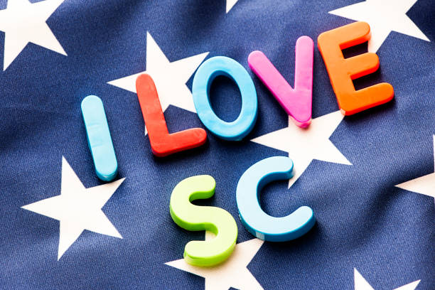 istock American flag with I Love SC word 649676540