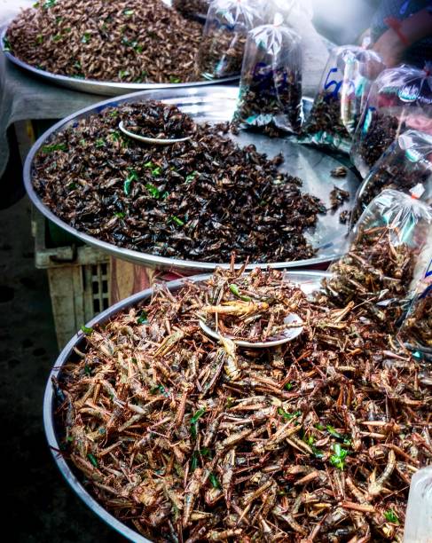 istock Deep Fired Insects Street Food 649676610