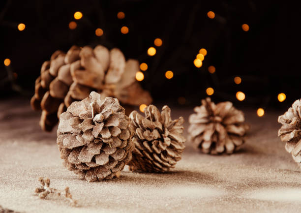 istock Christmas decoration with fir branches 649679514