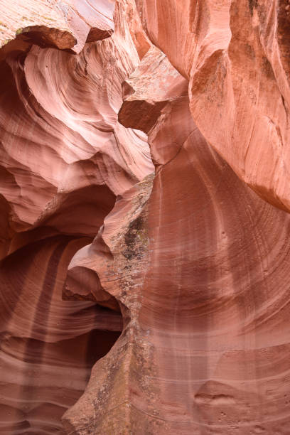 istock Lake Powell  and Atelope canyon 649699842