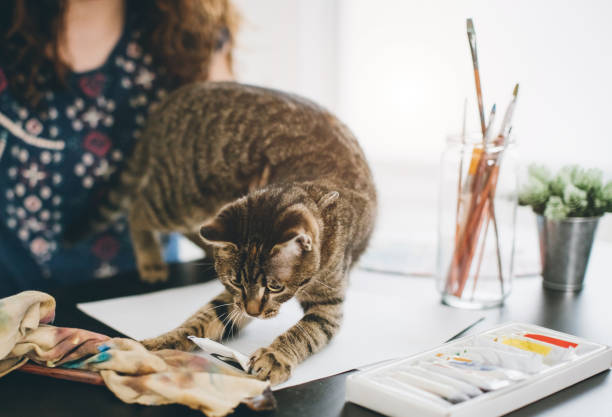 istock Woman with her cat 649701460