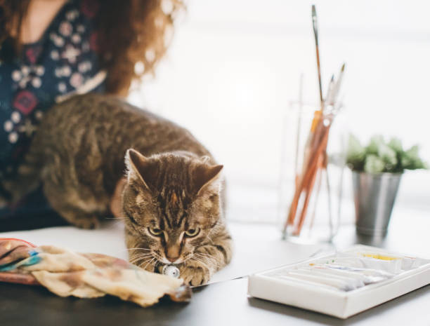 istock Woman with her cat 649703904