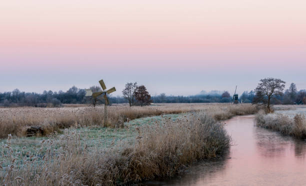 Reed field near Kalenberg with Mill during sunrise and winter in the province of Overijssel in the Netherlands.