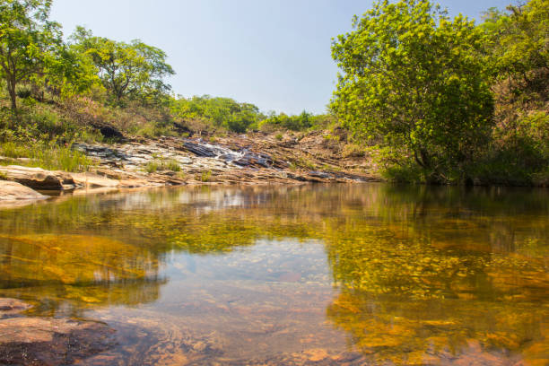 istock Beautiful stream in sunny day - Waterfall background. 649727634