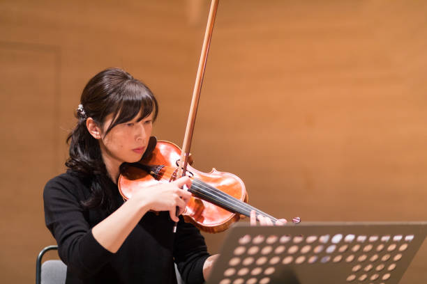 istock Violinist rehearsing before the concert 649730142