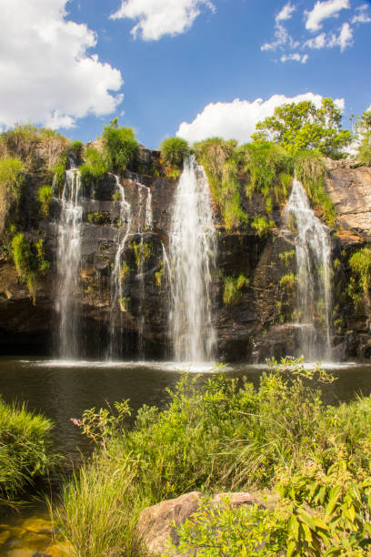 istock Beautiful stream in sunny day - Waterfall background. 649730710