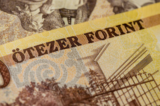 istock Forint European Currency 649733154