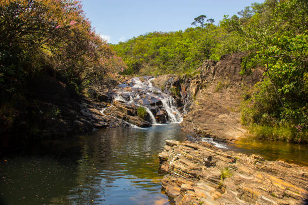 istock Beautiful stream in sunny day - Waterfall background. 649733454