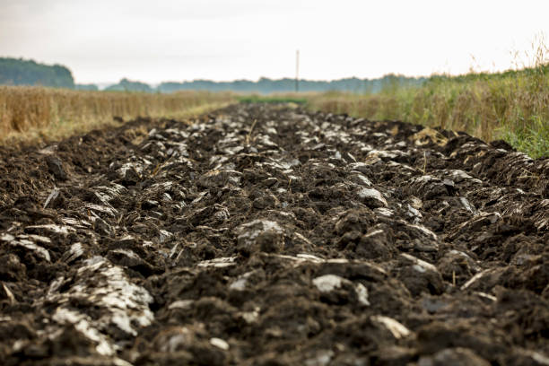 Tranquil view of plowed field against sky. Beautiful view of agricultural land. Scenic view of cultivated landscape.