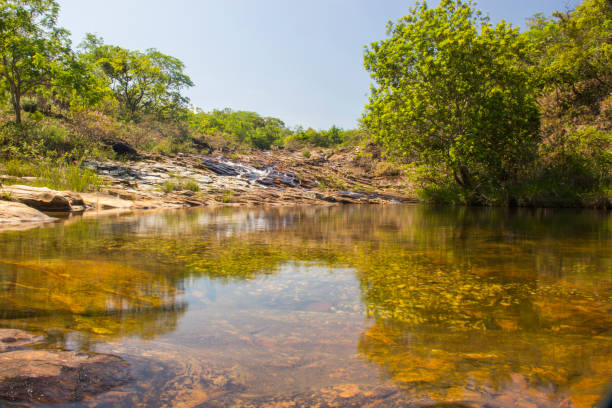 istock Beautiful stream in sunny day - Waterfall background. 649735294