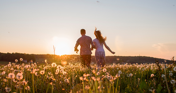 Rear view of couple running on dandelion field. Man and woman are enjoying amidst flowers. They are in casuals against sky during sunset.