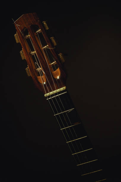 istock Closeup view of gypsy guitar neck 649736200
