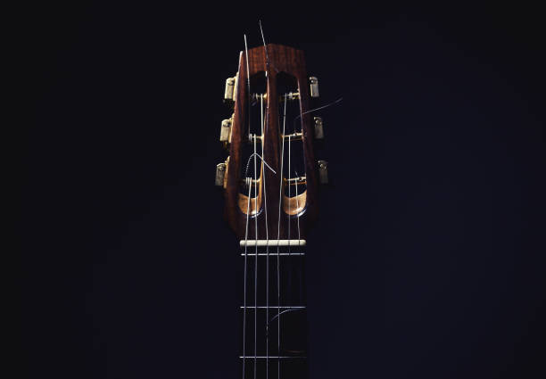 istock Closeup view of gypsy guitar neck 649738256