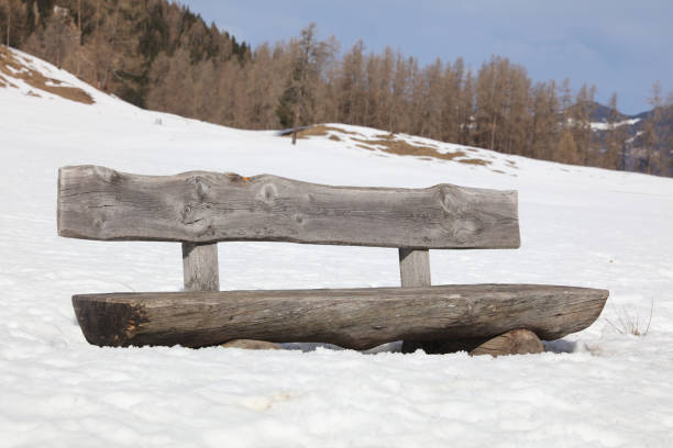 istock Winter landscape in Vorarlberg. Austria 649738880