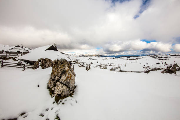 Houses and landscape covered with snow against cloudy sky. View of Slovenia during winter. Travel locations.