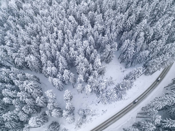 istock Snowy road with a car in the forest bird's eye view 649749752