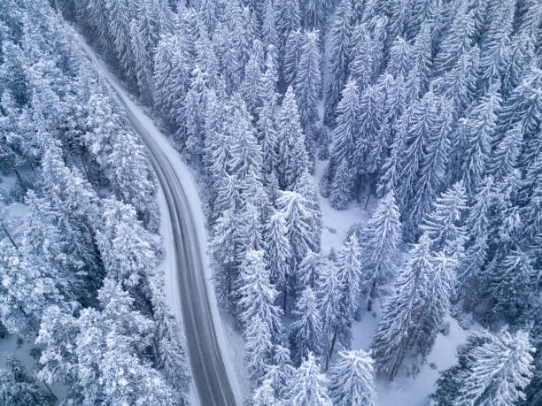 istock Snowy Road in the Forest night bird’s eye view 649749856