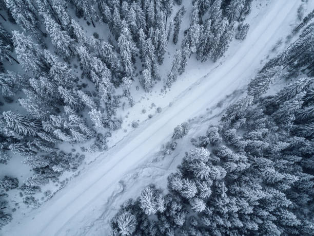 새의 눈, 숲의 항공 보기 눈으로 덮여 - snow winter mountain horizon over land 뉴스 사진 이미지