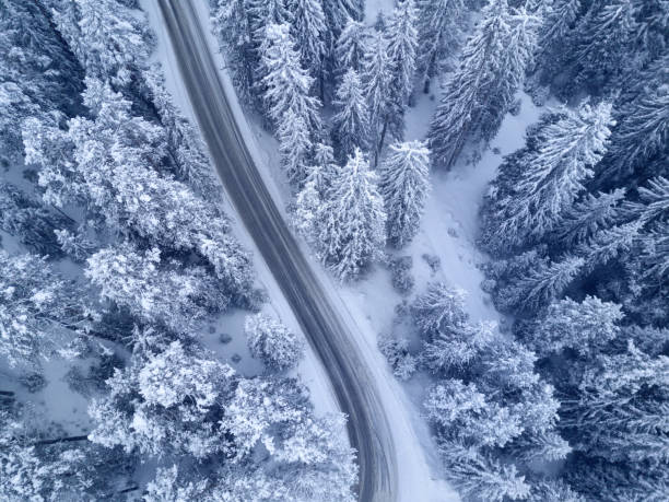 istock Winter snow covered pine forests bird’s eye view 649750542