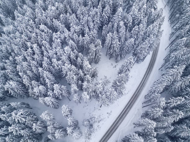 istock Road in winter forest bird's eye view 649750628