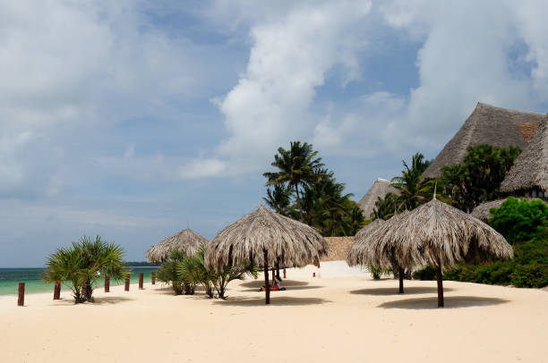 Naturais guarda-sóis na praia vazia - foto de acervo