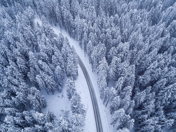 istock Top view of winter forest and road 649750760