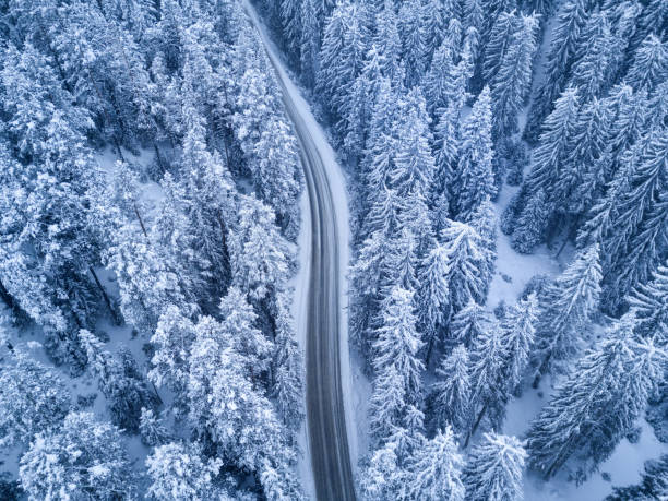 istock Top view of winter forest and Road 649750860