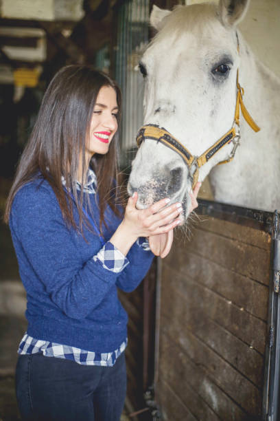 istock Beautiful young woman feeding white horse 649754462