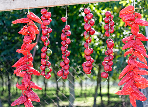 Close-up of red chili peppers at the market stall.