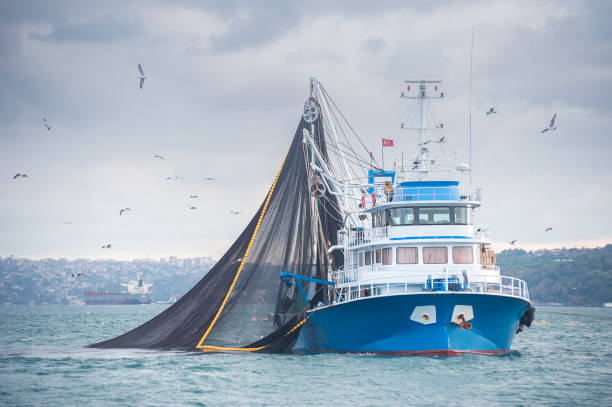 angeln-fangschiff - fischereiindustrie stock-fotos und bilder