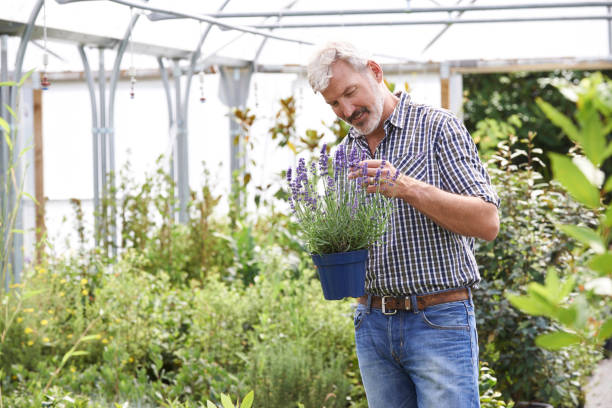 istock Mature Man Choosing Plants At Garden Center 649768512