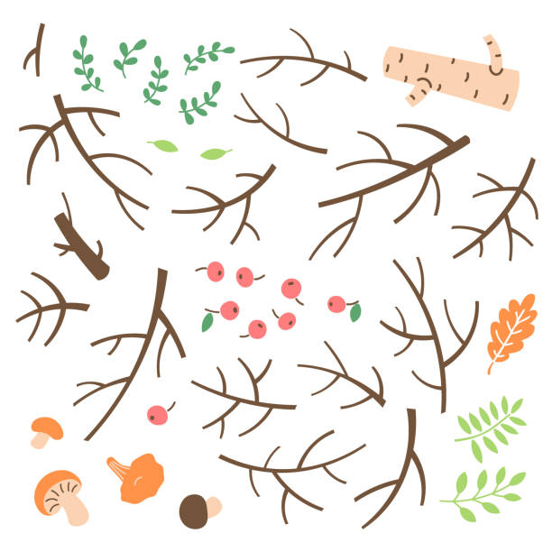 가지, 잔 가지, 간단한 만화 스타일에 ��스틱 세트 - computer graphic image stick tree trunk stock illustrations