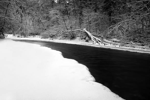 River Hornad in snowy forest at Slovak paradise. Black and white photography. Long exposure.