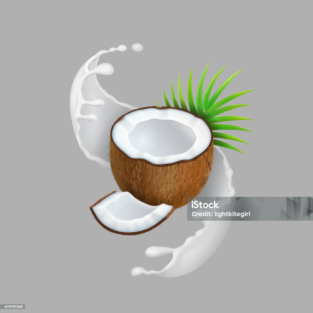 Coconut and milk splash. Natural fruit Realistic vector illustration. Coconut and milk splash. Natural fruit. Realistic vector illustration. Coconut stock vector