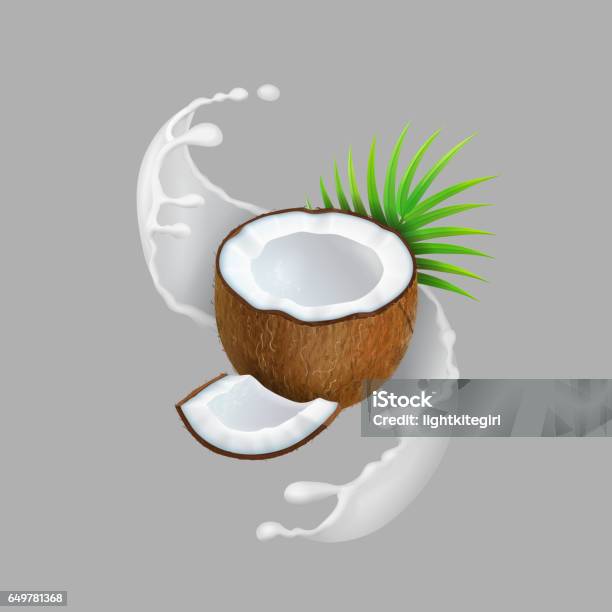 Coconut And Milk Splash Natural Fruit Realistic Vector Illustration Stock Illustration - Download Image Now