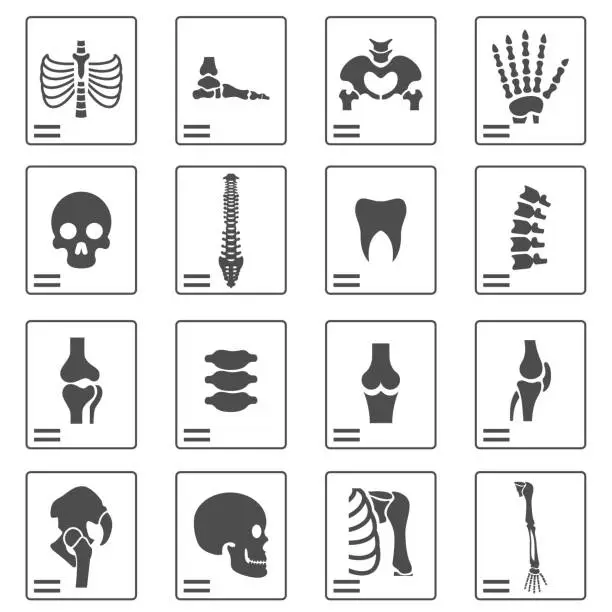 Vector illustration of X ray icons