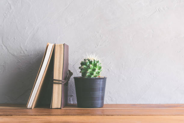 istock cactus flower with notebook on wood table modern interior background concept. 649791198
