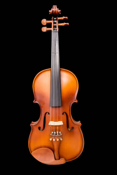 istock Vintage violin on black background 649794864