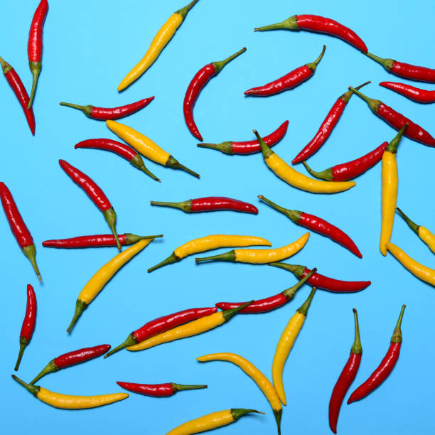 istock Red hot chili peppers on blue background - Flat lay 649795148