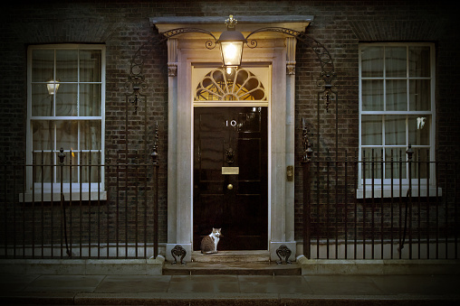 10 Downing Street the official home and office of the British Prime Minister with resident cat on the doorstep