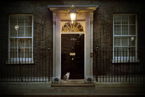 Downing Street stock photo