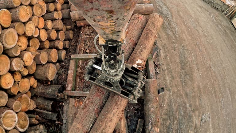 POV Log grapple crane moving logs